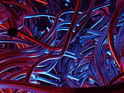 ¡Una nueva generación de productos de fibra ya está aquí!