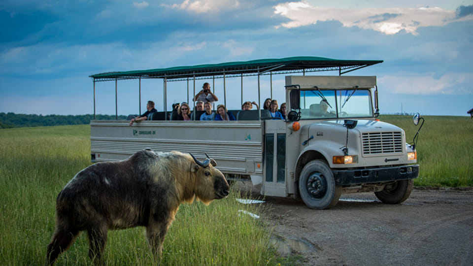 "The Wilds" Safari Park in OH, US Deploys RADWIN's Wireless Mobility Network Across 9,000-acre park